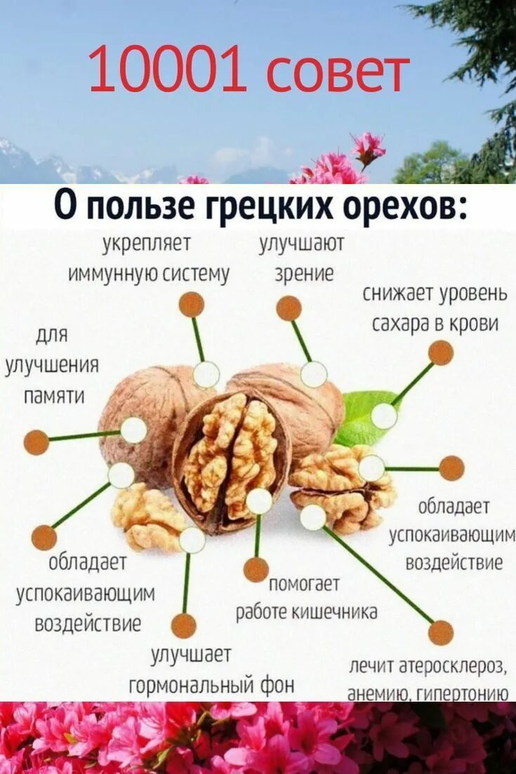 Сколько надо съесть грецкого ореха. Грецкий орех витамины. Польза грецких орехов. Полезные вещества в грецких орехах. Грецкий орех польза.