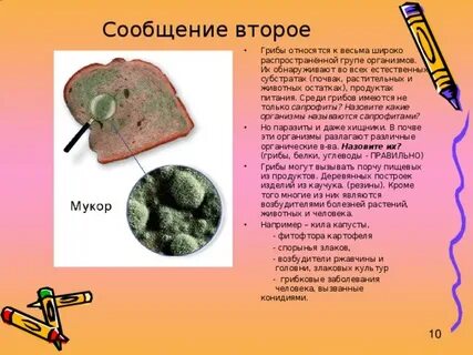 Второе сообщение