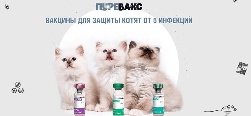 Пуревакс. Производитель вакцины Пуревакс. Пуревакс вакцина для кошек. Пуревакс RCPCH вакцина для кошек. Купить вакцину для кошек в москве