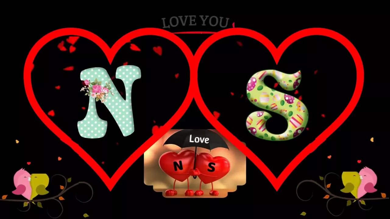 N s n net