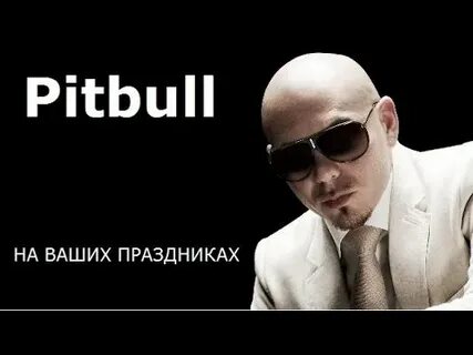Hey baby girl pitbull