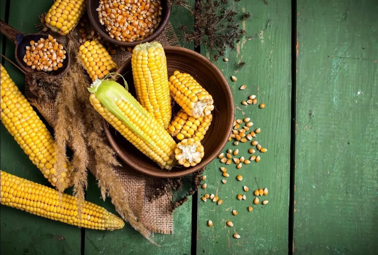 Фото кукурузы. Кукуруза. Горячая кукуруза. Красивая кукуруза. Кукуруза фон.