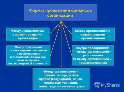 Принципы и роль финансов