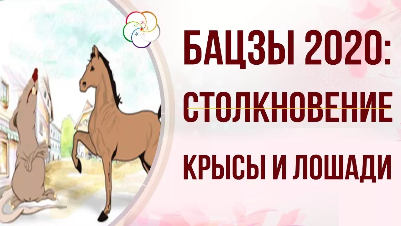 Год лошади и крысы. Год лошади и крысы. Год лошади и крысы. Год лошади и крысы. Овен лошадь женщина характеристика.