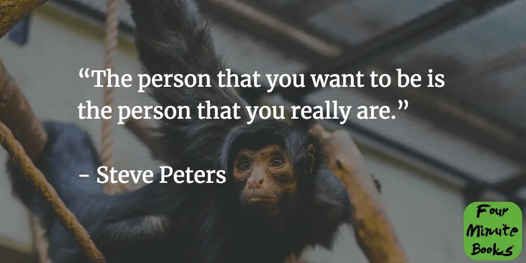 There a chimp at the circus. A chimp paradox book. chimp inside paradox. nothing see nothing hear chimp.