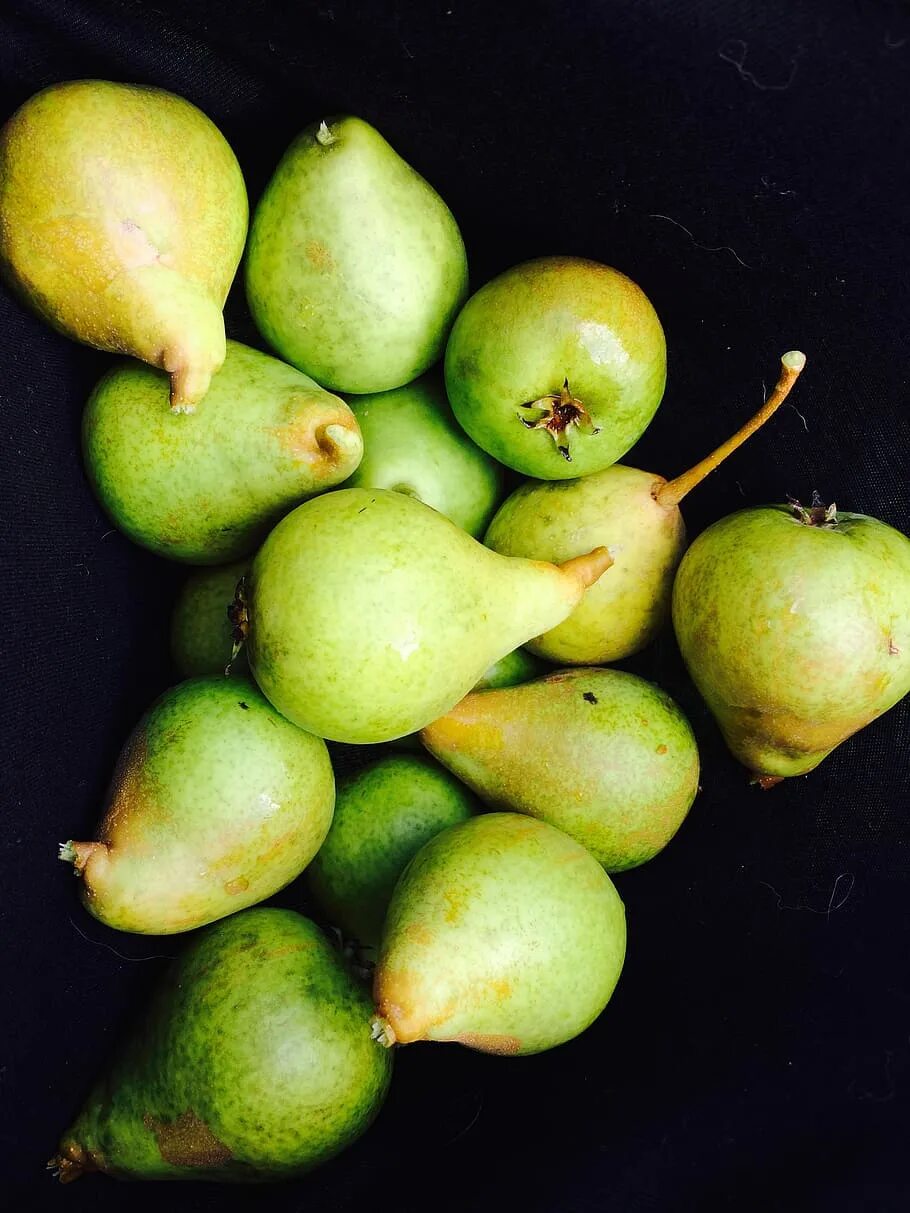 Fresh pear. Сорт груши Алагирский. Фреш Фрут груша. Фрукт похожий на грушу. Маленькая груша.