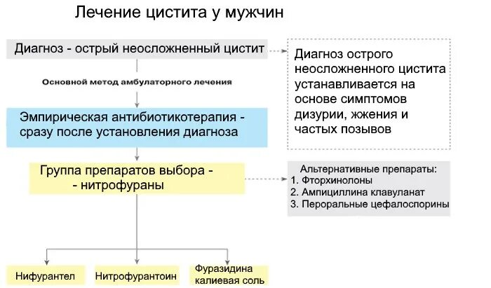 Цистит у мужчин симптомы и лечение. Схема лечения цистита у мужчин лекарственными препаратами. Схема лечения цистита у мужчин. Острый цистит симптомы у мужчин.