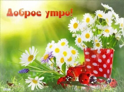Пожелания с добрым утром уходящего лета