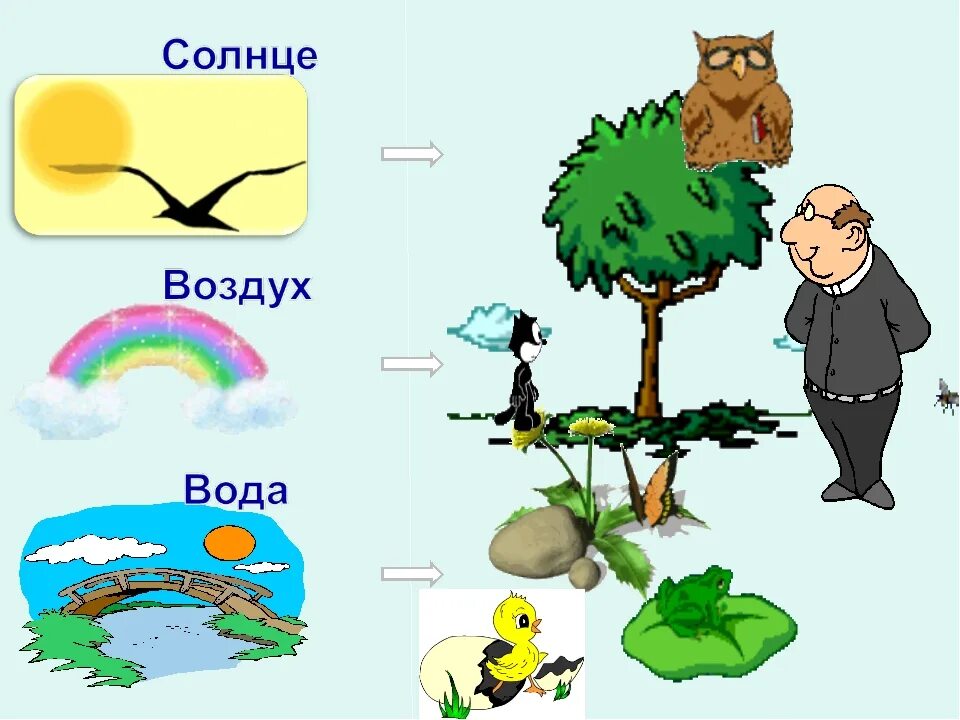 Связь между живой и не живой природрй. Взаимосвязь живой и неживой природы. Взаимосвязь между живой и неживой природой. Связь между живой и неживой природой рисунок.