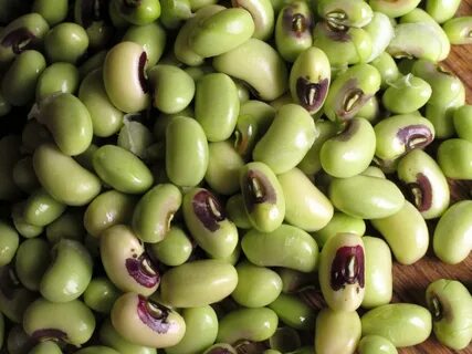 Bean am