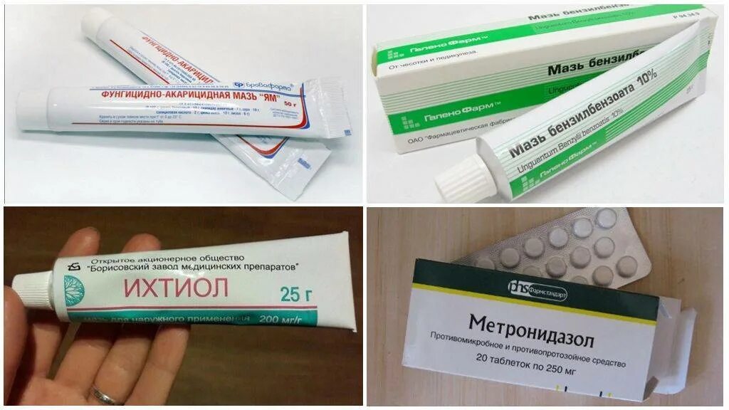 лечение клеща человека лечение препараты. демодекс век мазь для глаз. демодекоз препараты мази схема лечения. лечение клеща человека лечение препараты. лечение клеща человека лечение препараты.