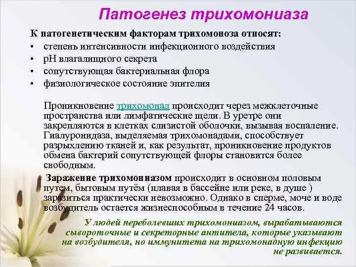 Трихомоноз у женщин лечение. Патогенез трихомониаза. Трихомоноз патогенез. Трихомониаз этиология патогенез. Трихомонада патогенез.