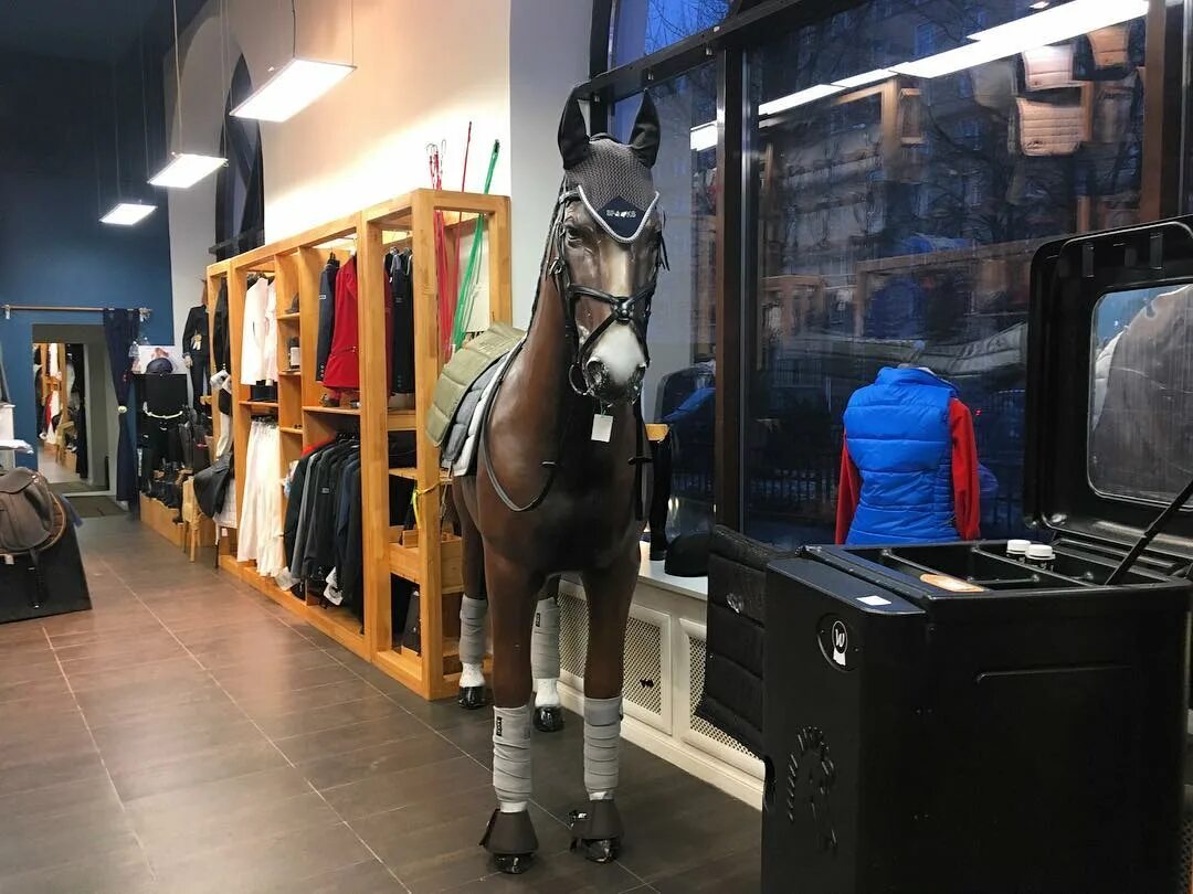 Магазин для лошадей. Конный магазин. Конный магазин. Horse магазин. Horse магазин.