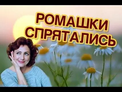 Караоке ромашки спрятались поникли
