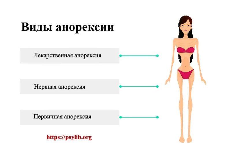 Классификация анорексии. Этапы нервной анорексии. Стадии нервной анорексии