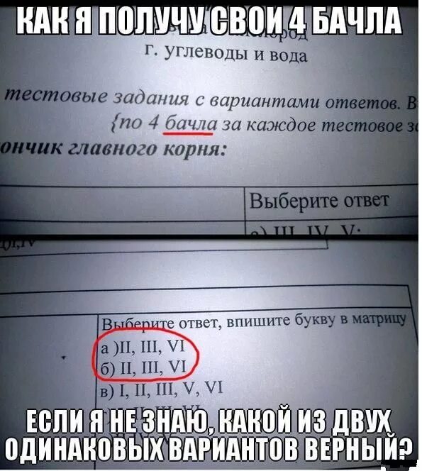 Смешные ответы на тесты. Прикольные шутки с ответами. Прикольные ответы. Смешные варианты ответов.