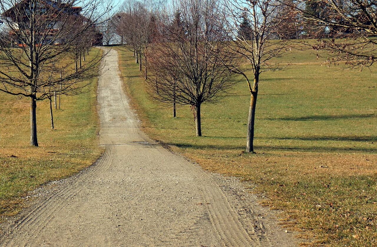 Lane road. Земляная дорога. Грунтовая дорога. Земляная дорога природа. Переулок грунтовая дорога.