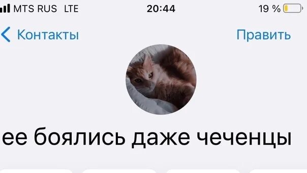 Как записать маму парня. Как можно записать маму. как записать маму в телефоне смешно. как можно записать маму в телефоне. как смешно записать маму.