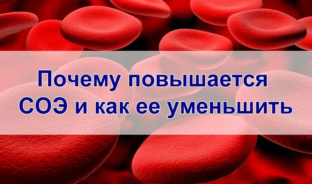 Повышенный соэ в крови у женщин причины. Повышенная СОЭ В крови у женщин причины. Повышена соя в организме. Почему повышенная соя. Соя в крови повышена причины.