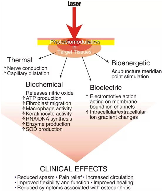 Path of exile 2 skill tree. Problem. Кавасаки мотард 650к. Блок сбц мерседес 211. Yamaha fzr 1989.