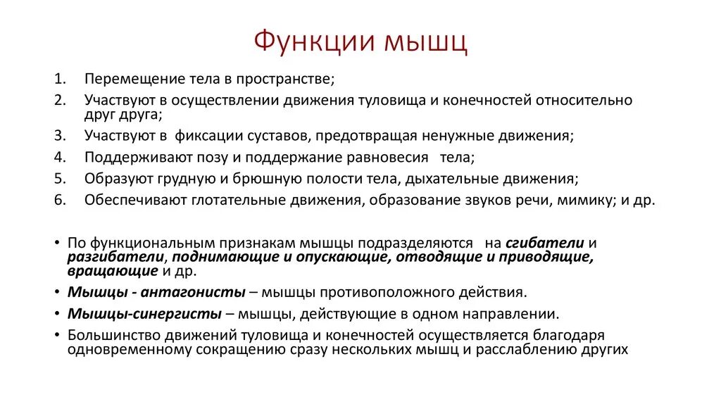 Назовите функции мышц