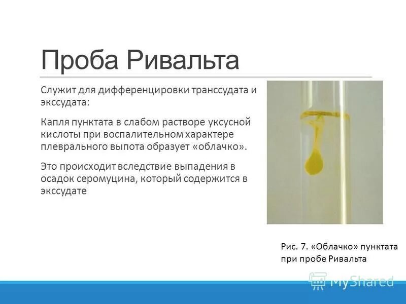 проба ривальта