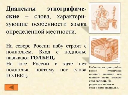 Профессионализмы и диалектизмы презентация 6 класс