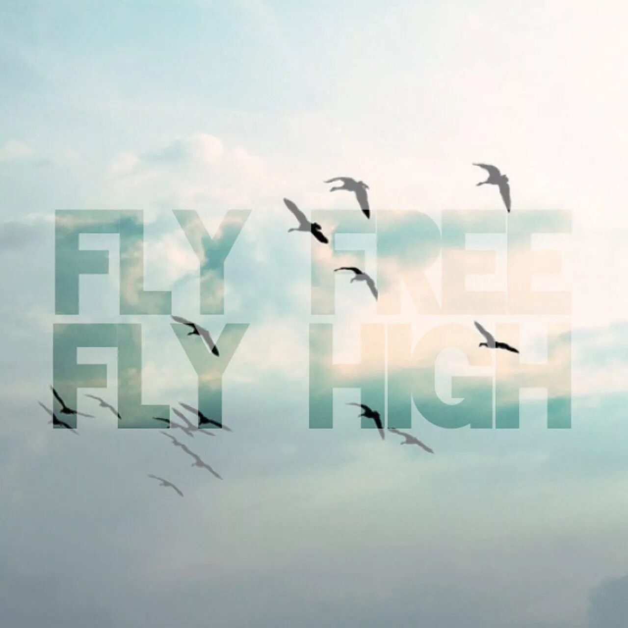 Fly High. Fly High 1. Fly quotes. Fly High 4.