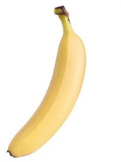 Бұқалардың жыныс мүшесі