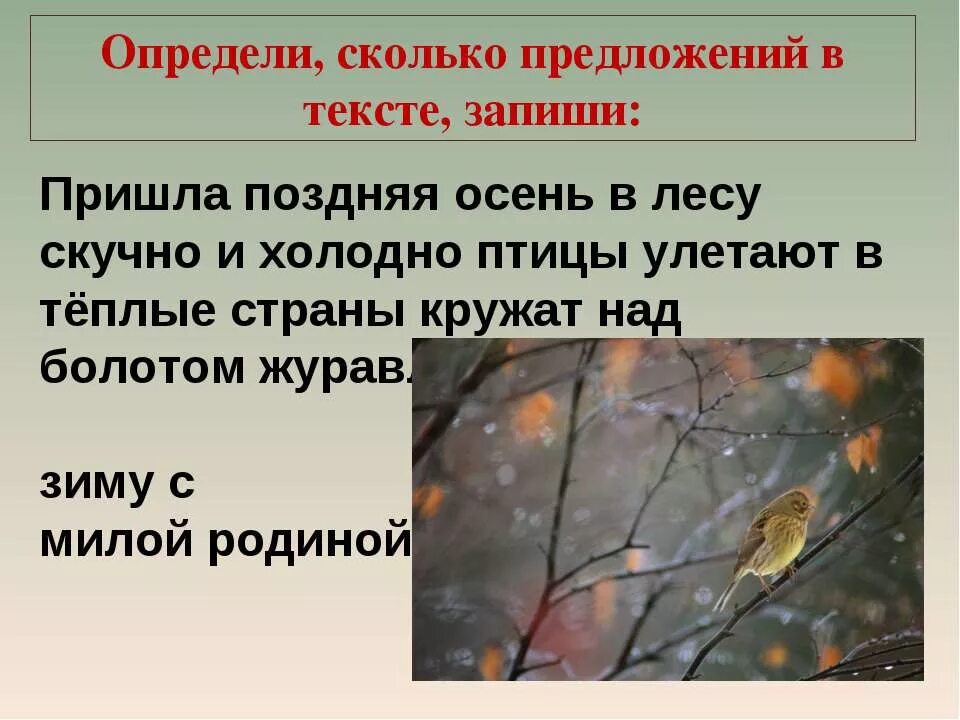 Предложения на тему осень. Пришла поздняя осень в лесу стало скучно. Предложение на тему осень в лесу. Предложения про лес осенью. Осенние слова прилагательные