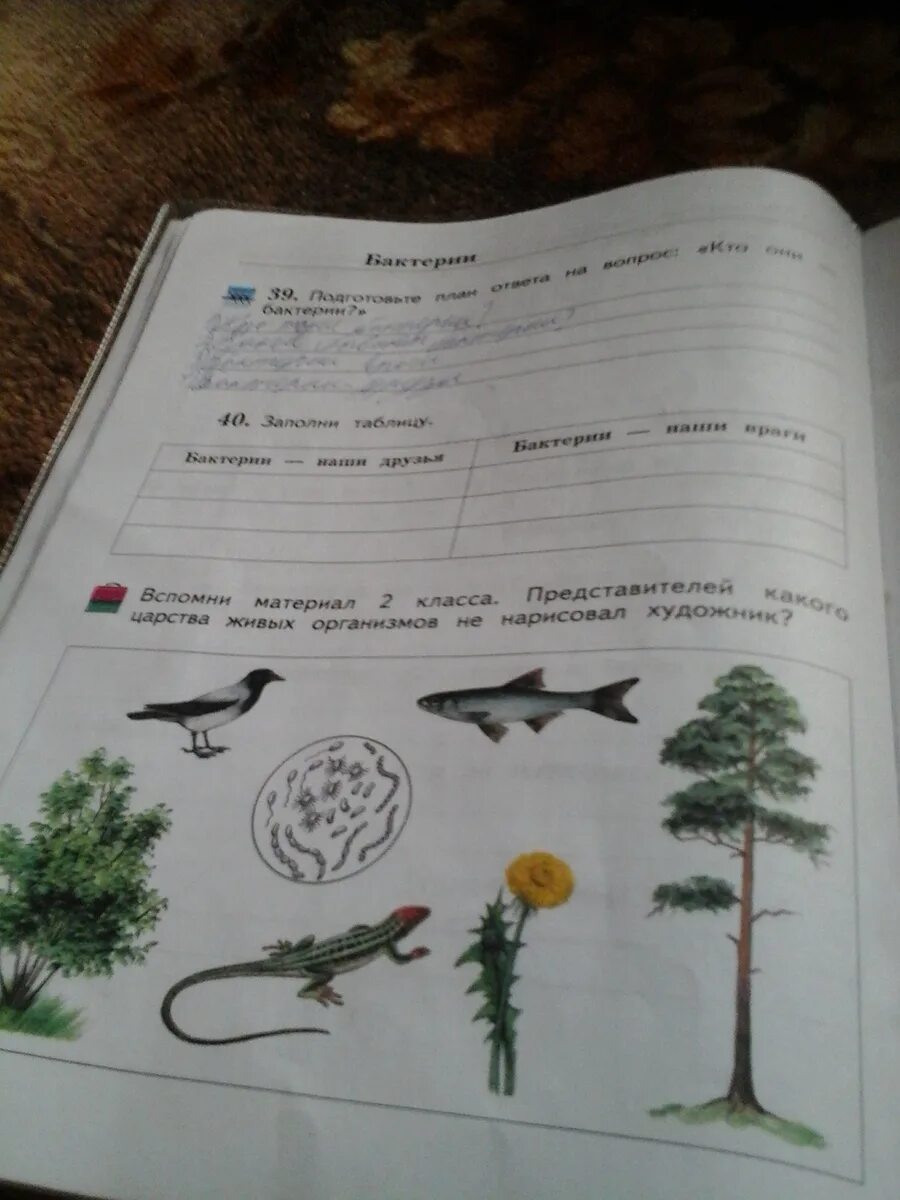 Сорок заполнить. Пи в экселе как записать. Шевелев готовимся к школе 5-6 лет рабочая тетрадь ответы стр44. Сорок заполнить. Сорок заполнить.