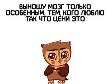 Что вынес то твое