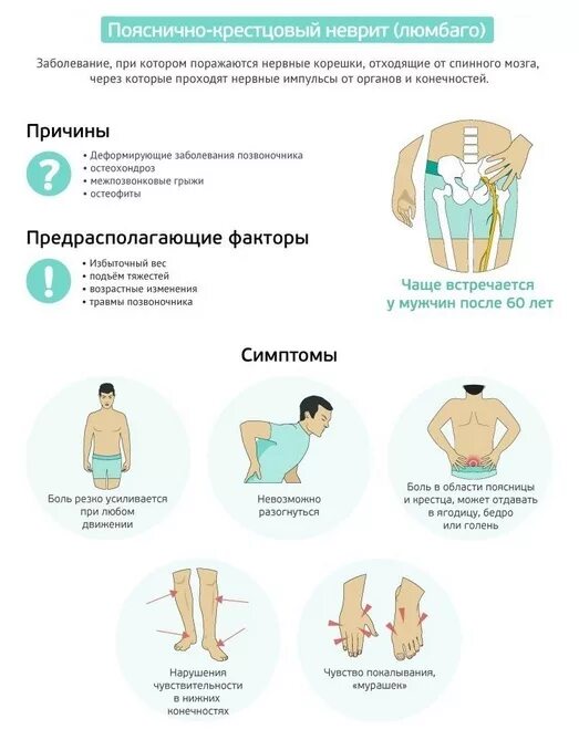 Болит левый бок поясница причина. Боль в пояснице снизу причина. боль сзади слева в области поясницы.