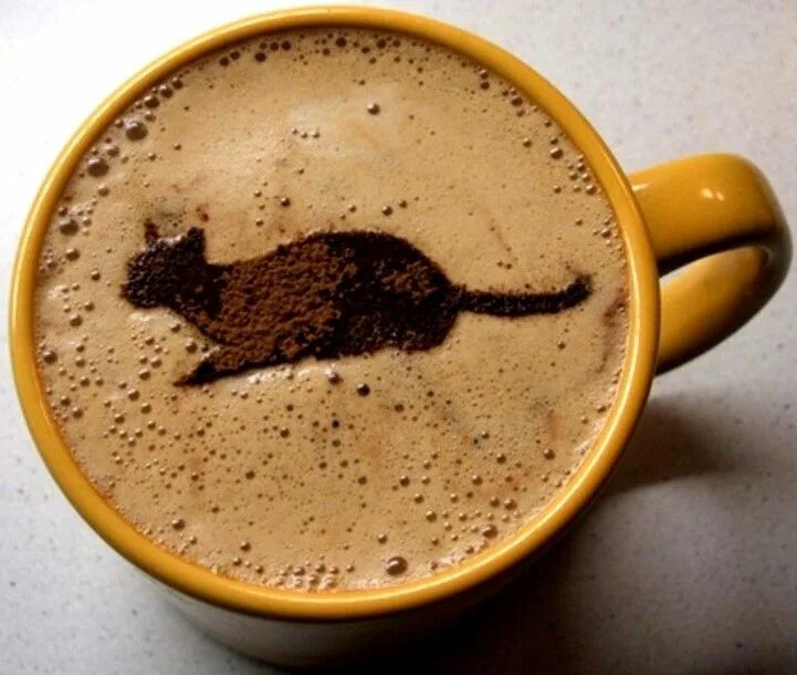 Кофе рисунок. Котик на кофейной пенке. Кофе с пенкой. Кот и кофе. Что бодрит лучше кофе