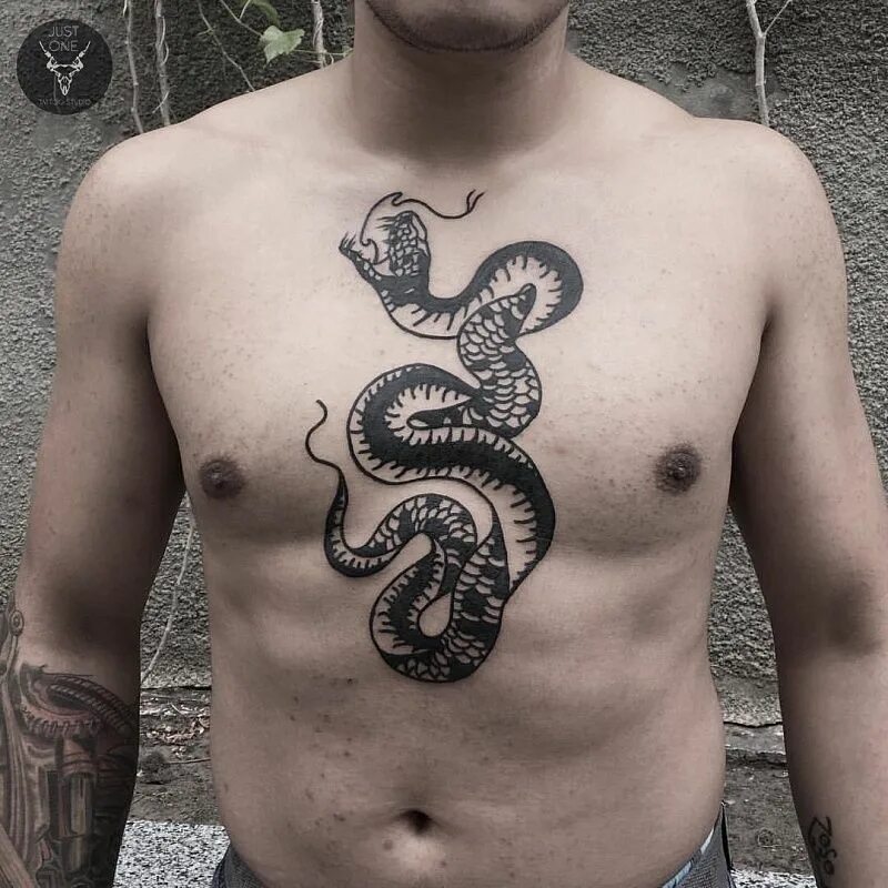 Тату змеи на груди