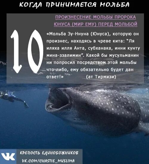 Какого пророка проглотил кит. Дуа пророка Юнуса в чреве кита. Мольба пророка Юнуса в чреве кита. Дуа пророка Юнуса в чреве кита мир ему. Дуа пророка Юнуса в чреве.