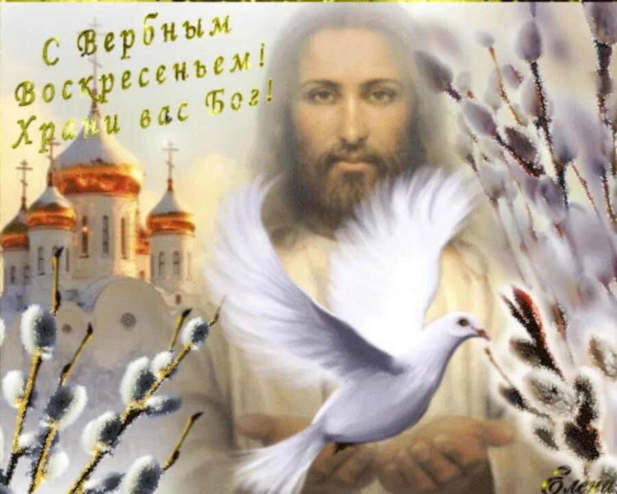 С вербным воскресеньем красивые картинки гифки. С вербным воскресеньем. с вербным воскресеньем открытки. вербное воскресенье поздравления. вербное воскресенье картинки.
