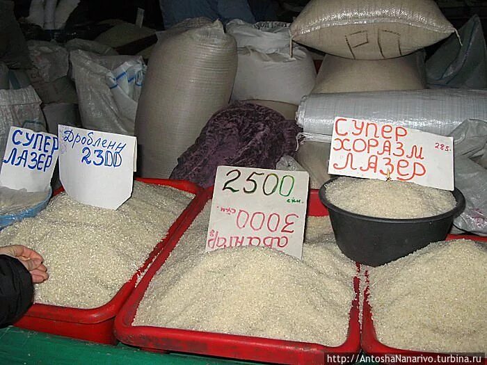 Букв ташкент. Рисы на базаре. Узбекский базар рис. Ценники в Узбекистане. Гуруч.