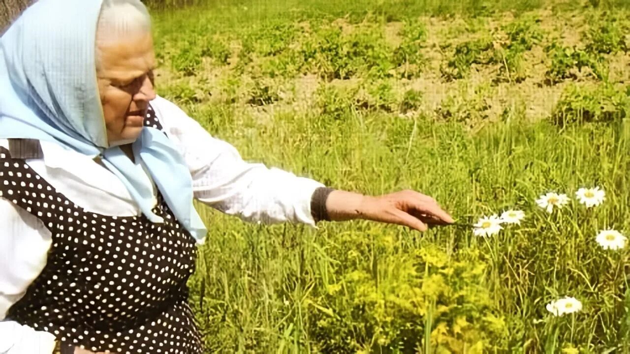 Целительницы которые лечат. Целительницы которые лечат