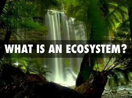 Environment there are many