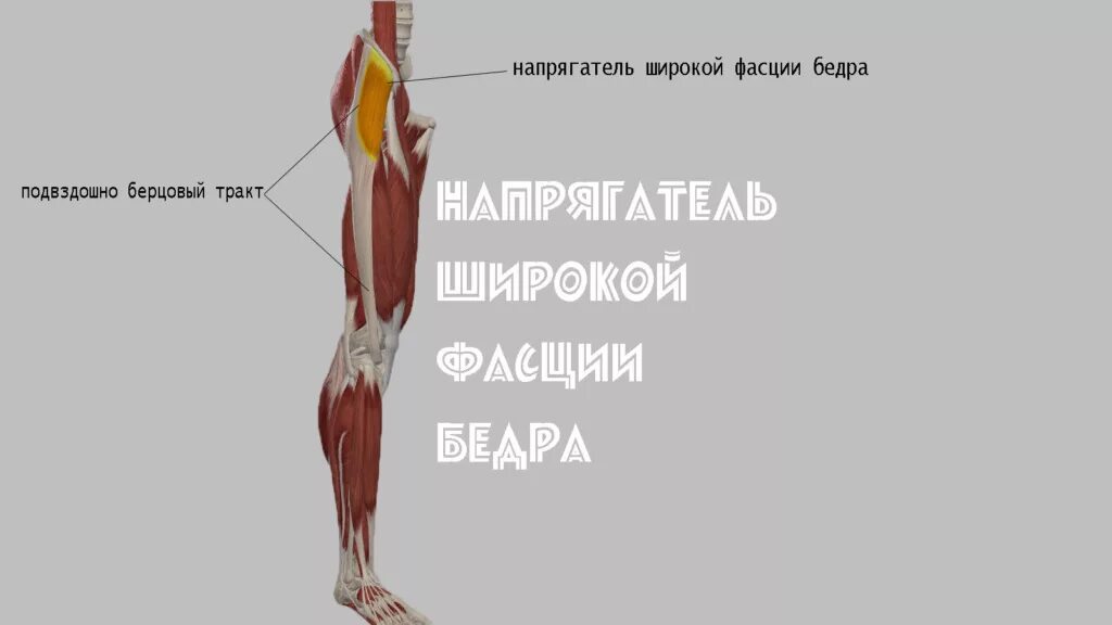 Подвздошно большеберцовый синдром