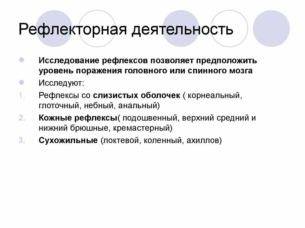 Рефлекторная деятельность. Рефлексы со слизистых оболочек. Рефлекторная активность это. Исследование рефлексов.