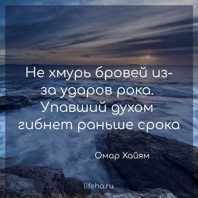 Упавший гибнет раньше срока. Упавший духом гибнет раньше срока. не хмурь бровей из за ударов. не хмурь бровей из за ударов рока. упавший духом гибнет раньше срока омар.