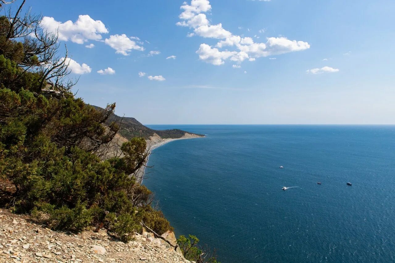 Мцване-концхи (зеленый мыс). Голубая бухта бжид море. Голубая бездна в джанхоте. Джанхот пляж 2022. Южный берег крыма море.