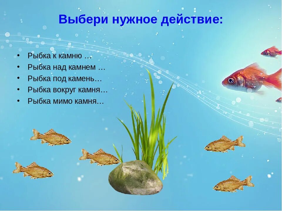 Рыбы для дошкольников. Тема рыбы для дошкольников. Презентация рыбы для дошкольников. Презентация для детей детского сада на тему рыбы.