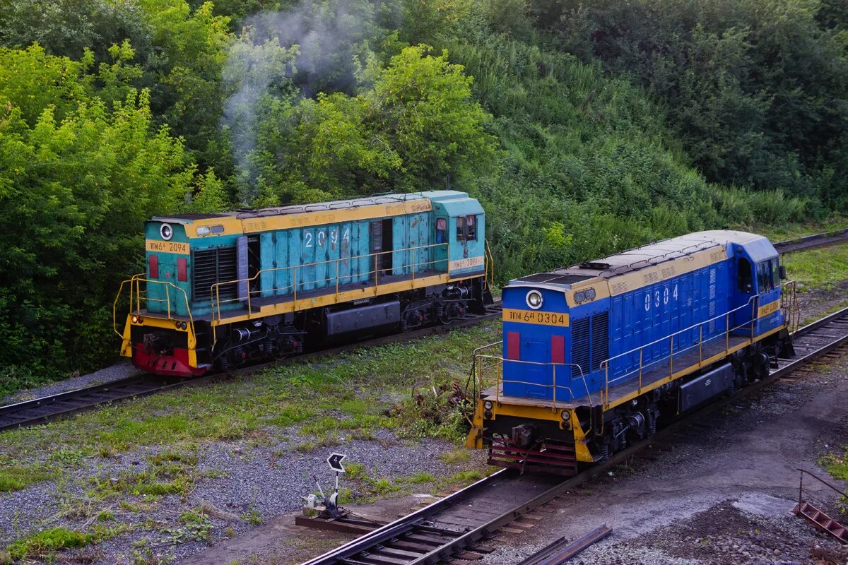 Тгм6. Тгм6 тепловоз. Тгм6 1141. Тгм6а-2231. Тгм 6а.