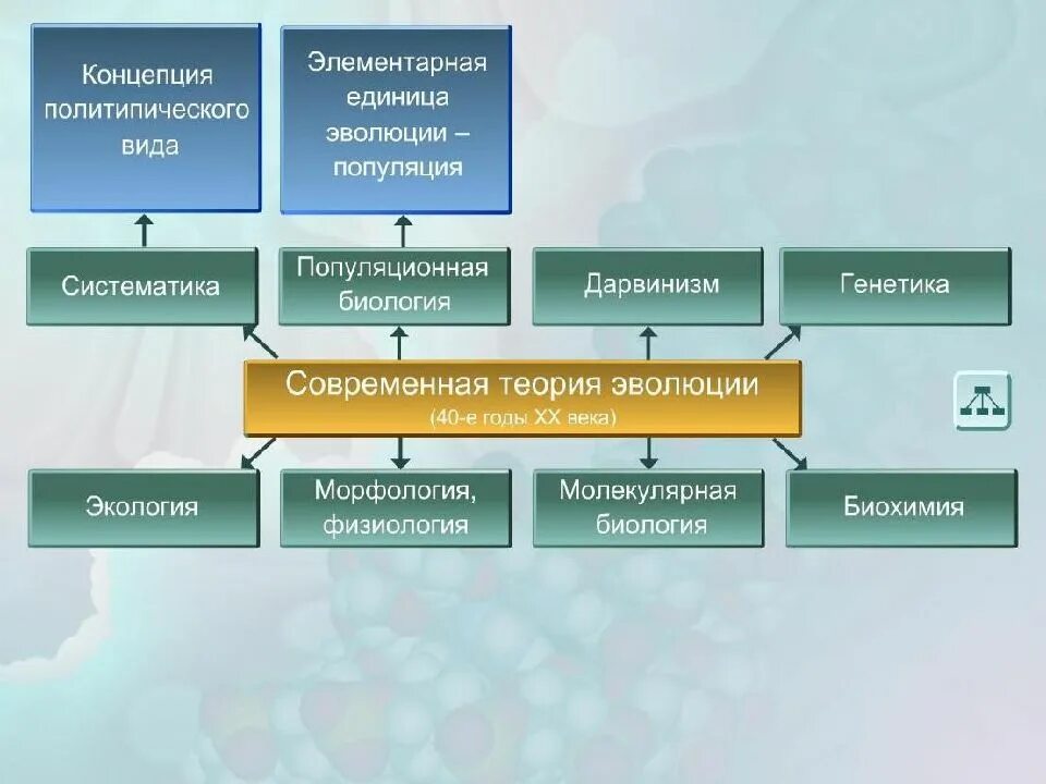 Вид элементарная эволюционная единица. Популяция элементарная единица эволюции. Структурная единица эволюции. Элементарные факторы эволюции презентация.