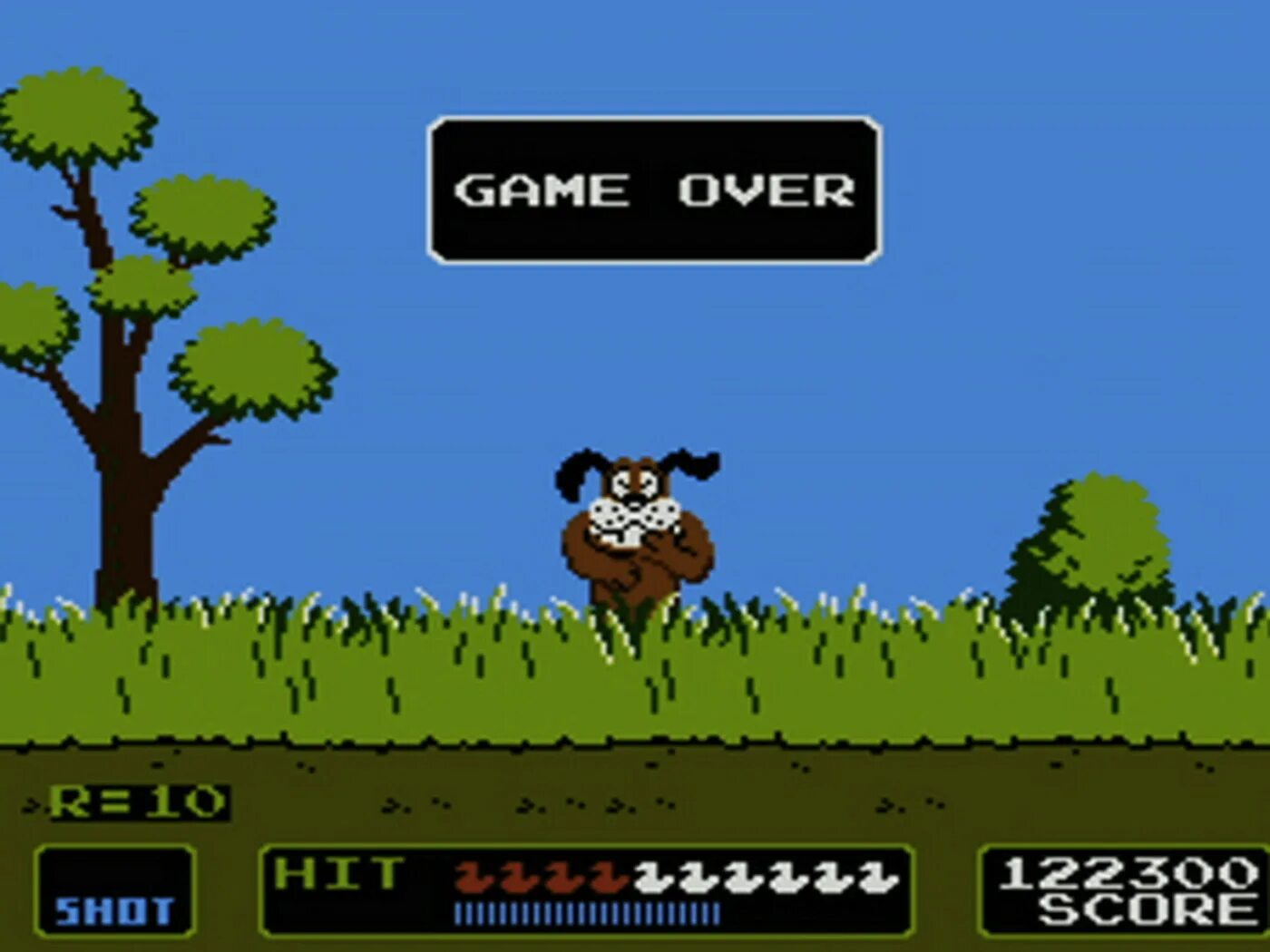 Утка собака игры. Duck Hunt игра. Дак Хант Денди. Охота на уток игра Денди. Утиная охота игра на Денди.