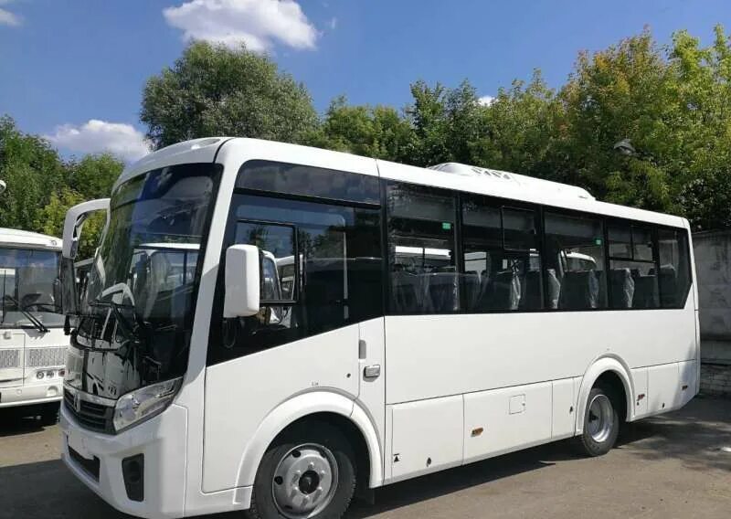 Паз 320412. Паз междугородный. Паз междугородный. Паз вектор некст 320435 ферма. Паз вектор некст.