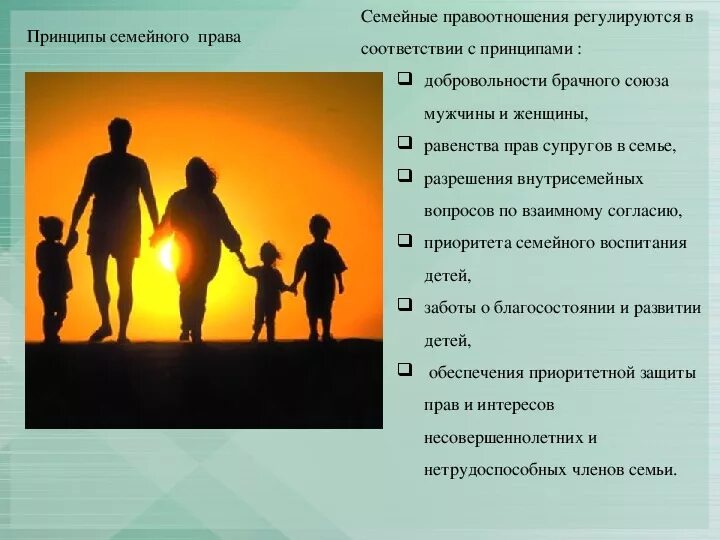 Условия реализации семьи. Семья и общество. Основные принципы семьи. Правоотношения детей в семье.